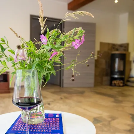 Traumhafte Nordsee Ferienwohnung: 150qm Barrierefrei & Familienfreundlich Nahe Sankt Peter Ording Daire Tumlauer Koog